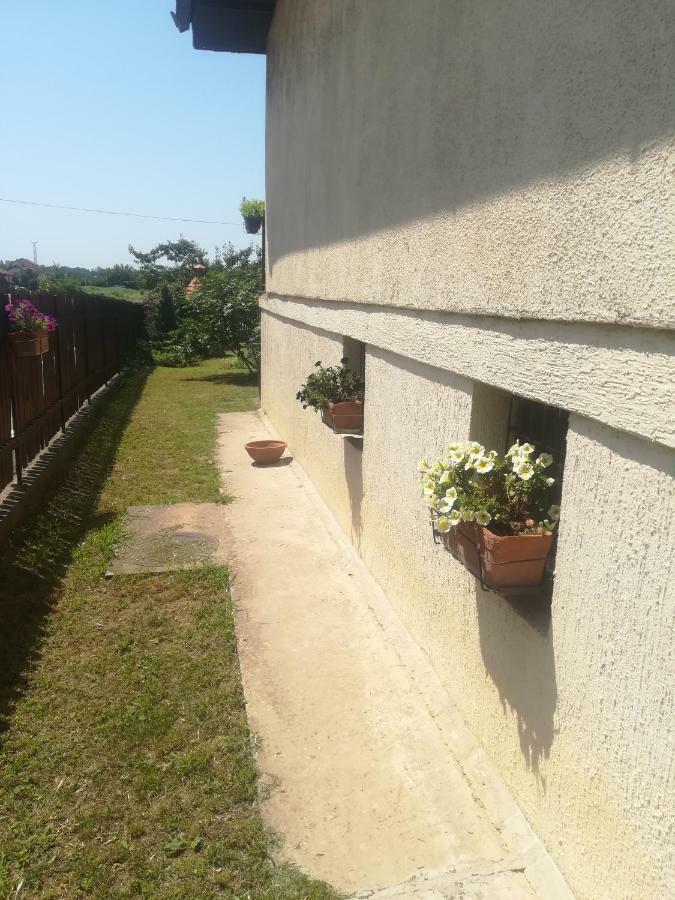 Anejo Apartment Βελιγράδι Εξωτερικό φωτογραφία